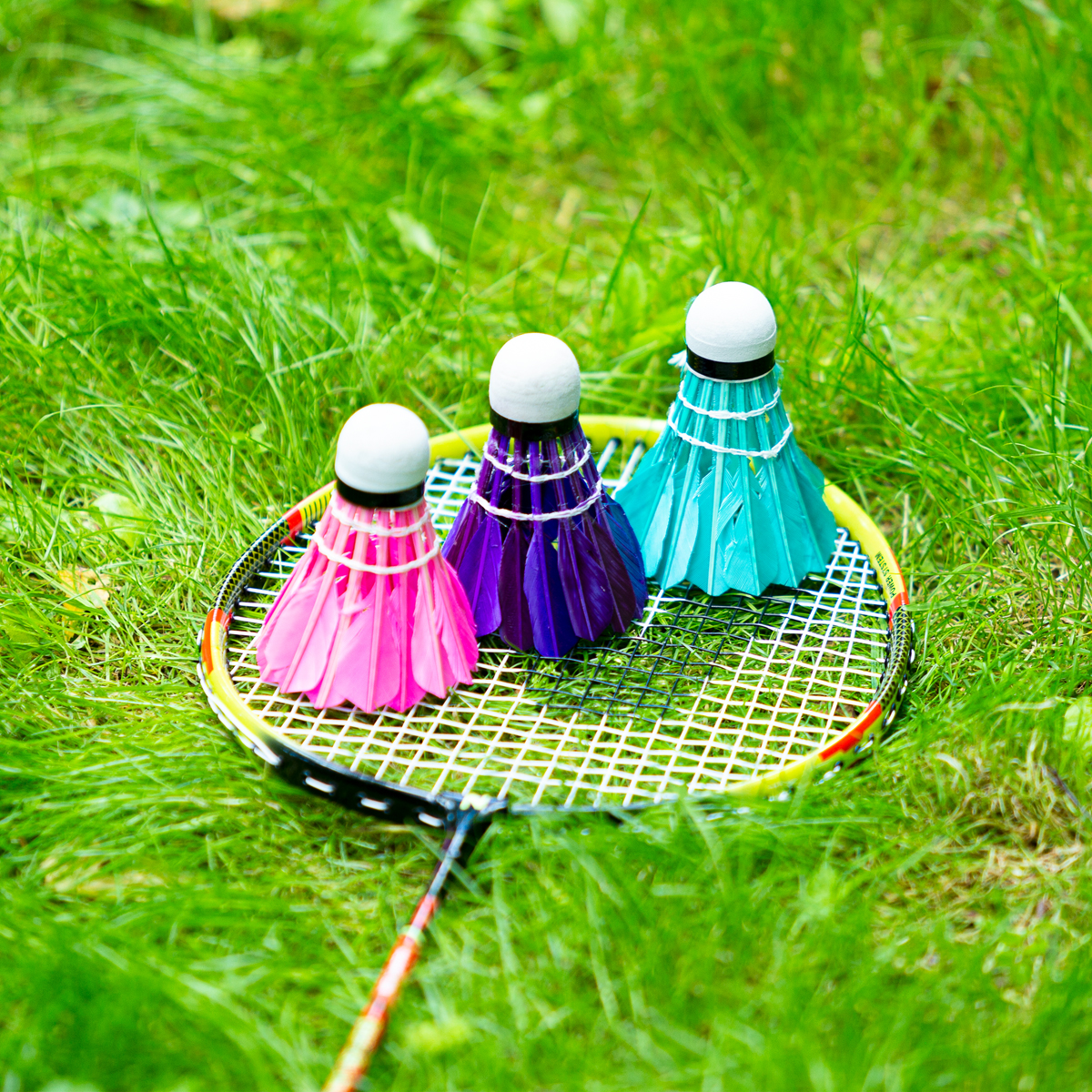 Sulkapallot 3 kpl multicolor NBL6213 NILS - Image 8